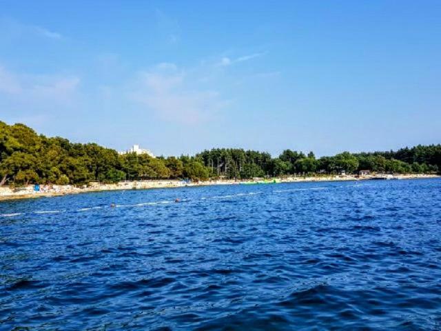 Apartman Maslina Apartment Porec Bagian luar foto
